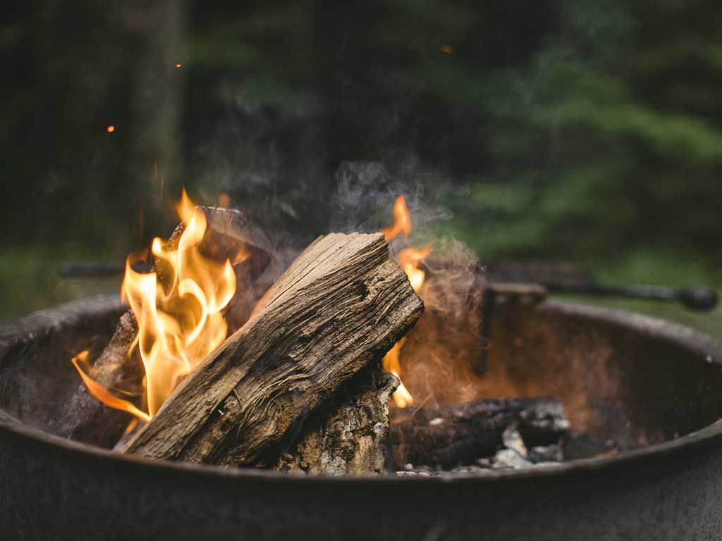 Kinder beim Sommercamp im Wald
